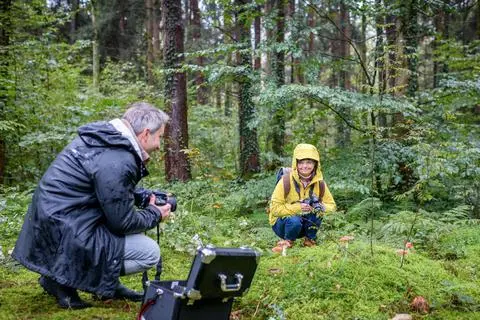 Heute bei "Sturm der Liebe": Miro findet Charly - die den perfekten Pilz gefunden hat.